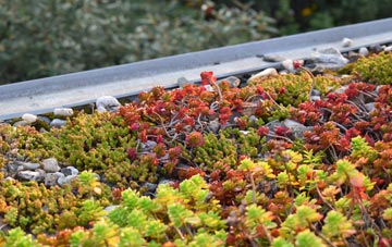the cost of Marsham green roof installation